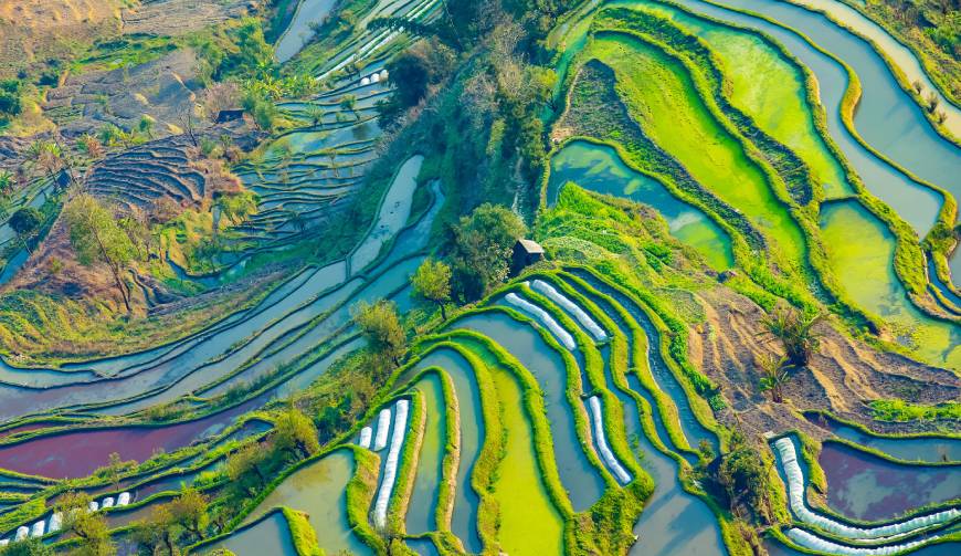宝妈必备神器：萨尔图区产品视频拍摄轻松育儿好帮手